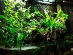 SPA & MASSAGE PRICE IN HANOI – TIPS & INFORMATION